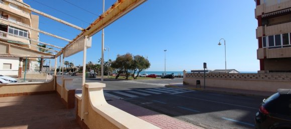 Propriété commerciale à Guardamar del Segura, Spain 148m² No. 8275 12