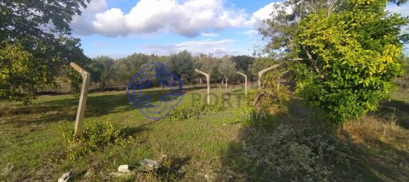 Замки и поместья с 2 спальнями в Феррейра ду Зезери, Португалия № 14506 12