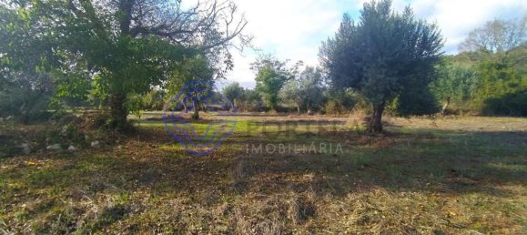 Замки и поместья с 2 спальнями в Феррейра ду Зезери, Португалия № 14506 8