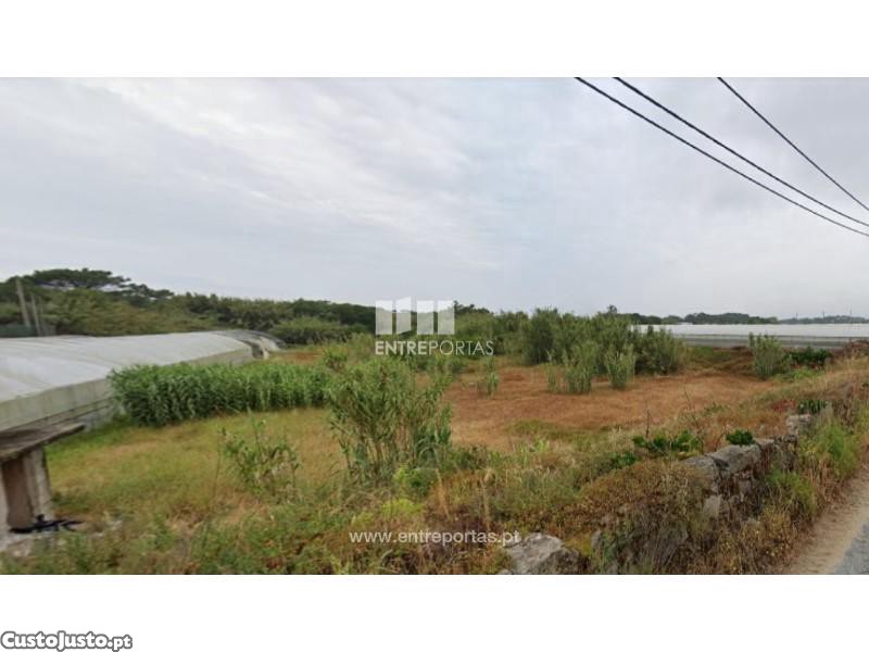  قطعة أرض في Povoa de Varzim, Portugal 5000متر مربع رقم 45716