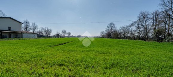 Terreno em Novi di Modena, Italy 24000 m² N.º 77347 12