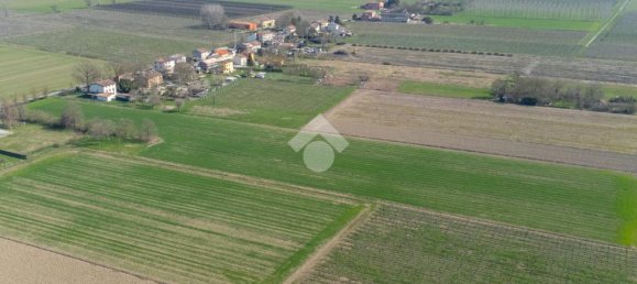 Terreno em Novi di Modena, Italy 24000 m² N.º 77347 8