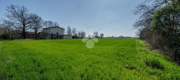 Terreno em Novi di Modena, Italy 24000 m² N.º 77347 14