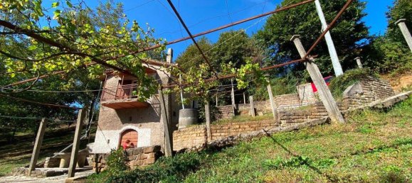 Studio in Palestrina, Italy No. 24084 14