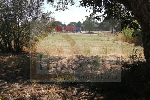 5250m² Land in Pinhal Novo, Portugal No. 250524