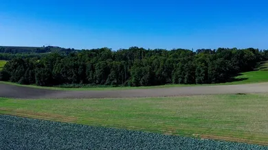 Terreno em Scharten, Austria N.º 231942