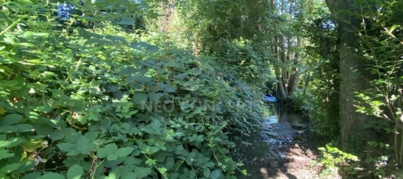 Terrain à Drachenbronn-Birlenbach, France 655m² No. 262703 3