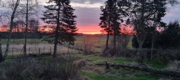  Land in Ostholstein, Germany No. 67354 4