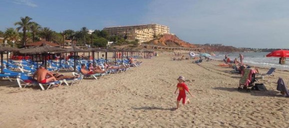 3 bedrooms Apartment in Alicante, Spain No. 177315 7