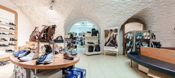 21-Zimmer Gewerbliche Immobilie in Gmunden, Austria, Nr. 219362 44