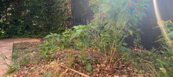 3 bedrooms Apartment in Montelupo Fiorentino, Italy No. 318787 2