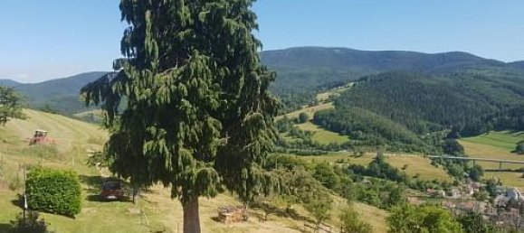 Casa T3 em Sainte-Croix-aux-Mines, France N.º 99482 25