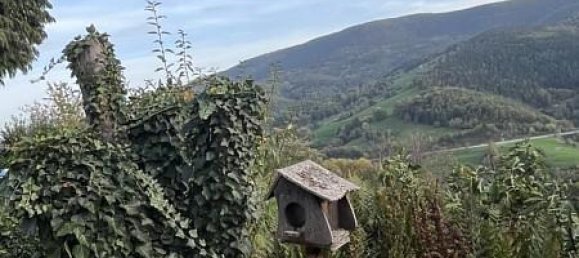 Casa T3 em Sainte-Croix-aux-Mines, France N.º 99482 20