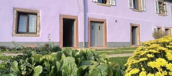 Casa T3 em Sainte-Croix-aux-Mines, France N.º 99482 8