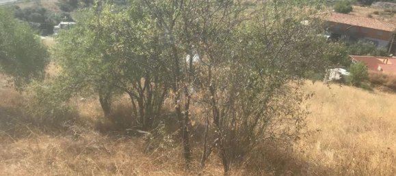 Земельный участок 13891м² в Эль Молар, Испания № 81897 6