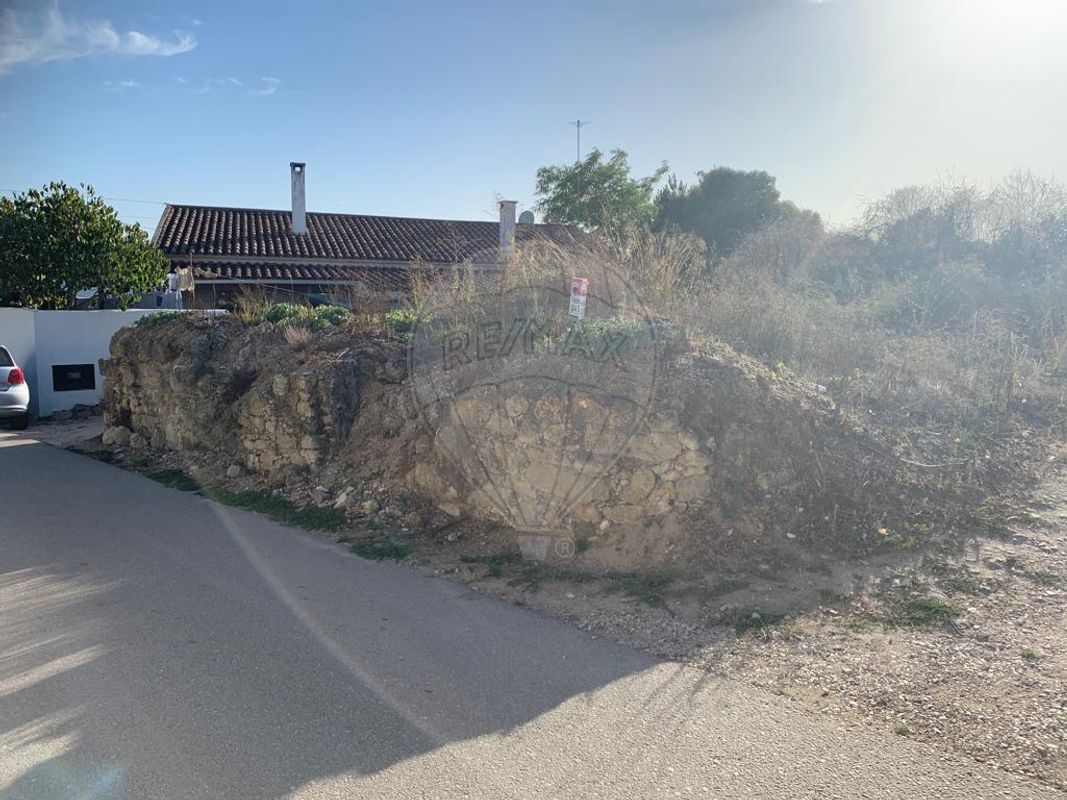 1 bedroom House in Santarem, Portugal No. 18158