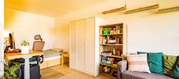 Estudio en Freiburg im Breisgau, Germany No. 234702 8