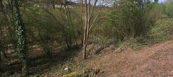 Земельный участок в Майн-Кинциг, Германия № 370775 3