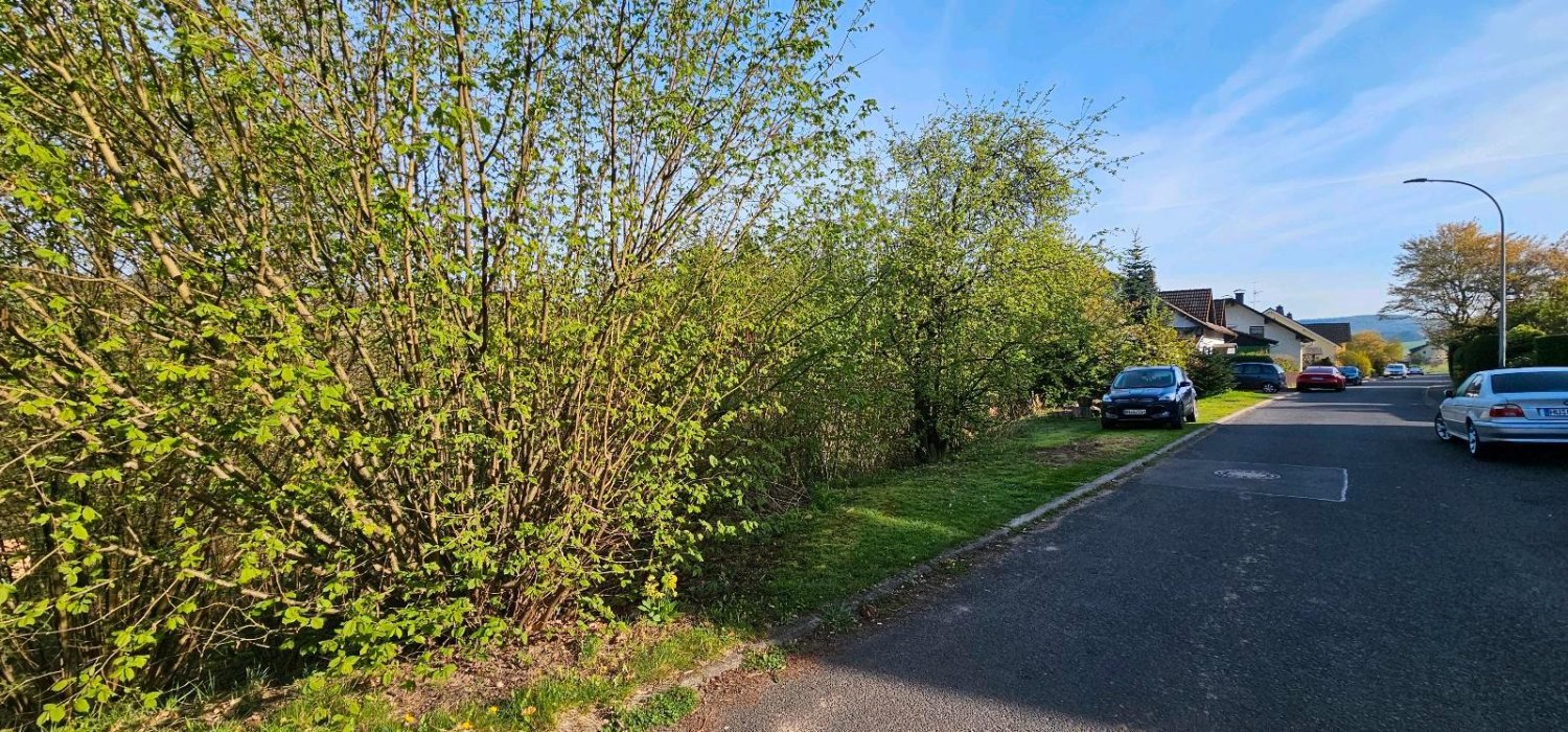 Земельный участок в Майн-Кинциг, Германия № 370775