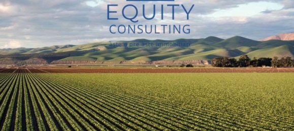 5 rooms Apartment in Triggiano, Italy No. 276630 23