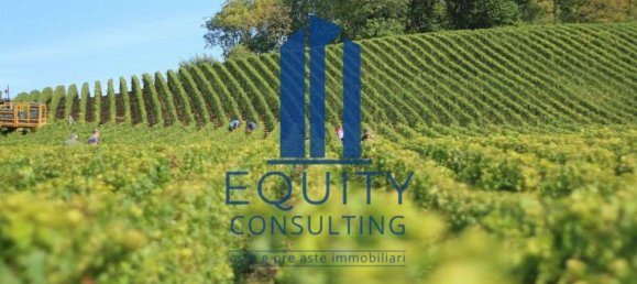 5 rooms Apartment in Triggiano, Italy No. 276630 21