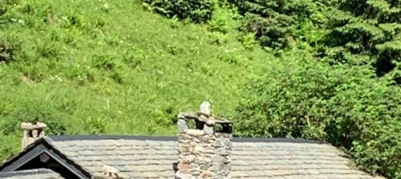 2-salle Maison à Albosaggia, Italy No. 336462 13