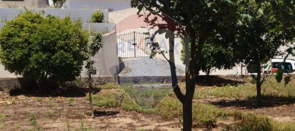 Terreno en Santa Comba Dao, Portugal 650 m² No. 30834 6