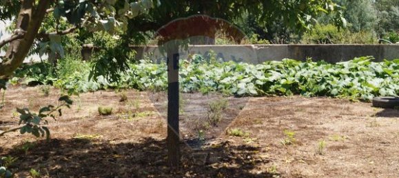 Terreno en Santa Comba Dao, Portugal 650 m² No. 30834 11