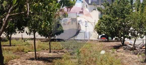 Terreno en Santa Comba Dao, Portugal 650 m² No. 30834 7