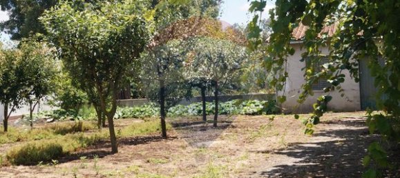 Terreno en Santa Comba Dao, Portugal 650 m² No. 30834 8