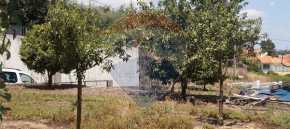 Terreno en Santa Comba Dao, Portugal 650 m² No. 30834 4