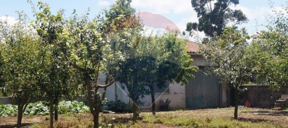 Terreno en Santa Comba Dao, Portugal 650 m² No. 30834 10