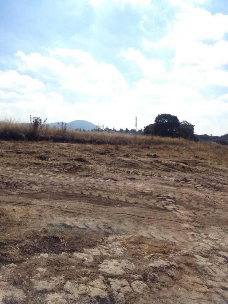 Grundstück in Ciudad Lopez Mateos, Mexico 10m², Nr. 205223