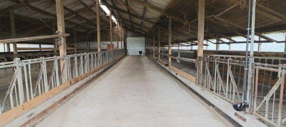 Ферма с 7 комнатами в Северная Фрисландия, Германия № 63016 14