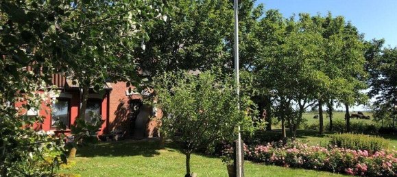 Ферма с 7 комнатами в Северная Фрисландия, Германия № 63016 8