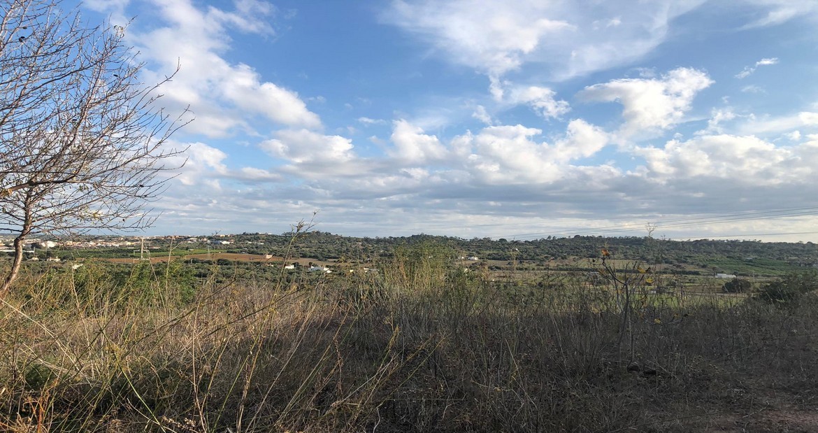 Grundstück in Silves, Portugal, Nr. 316777