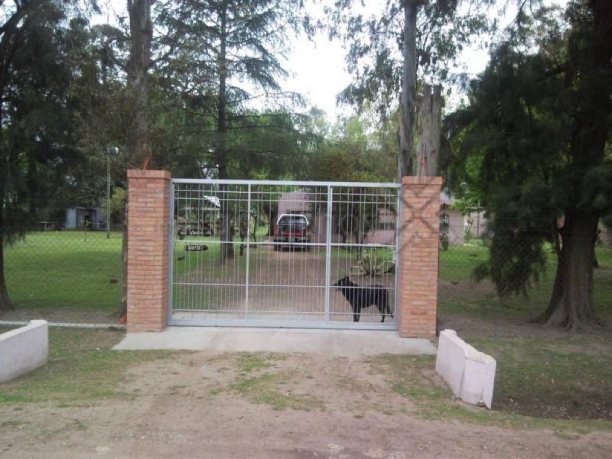 5 bedrooms Farm in Almirante Brown, Argentina No. 114400
