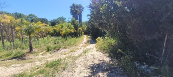 قطعة أرض في Cadiz, Spain رقم 156829 3