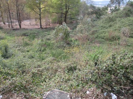 Земельный участок 500м² в Фреамунде, Португалия № 45744