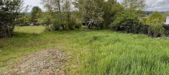 Grundstück in Sinabelkirchen, Austria, Nr. 132186 6