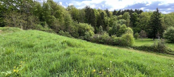 Grundstück in Sinabelkirchen, Austria, Nr. 132186 2