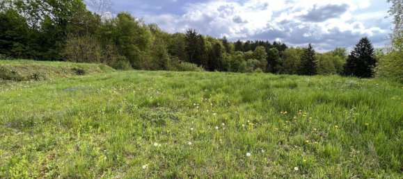 Grundstück in Sinabelkirchen, Austria, Nr. 132186 3