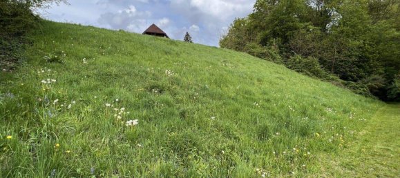 Grundstück in Sinabelkirchen, Austria, Nr. 132186 4