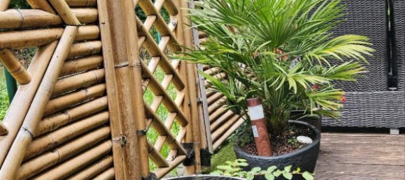 2 bedrooms Apartment in Duisburg, Germany No. 296456 17