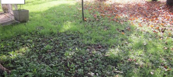 8 bedrooms House in Salzano, Italy No. 363644 3