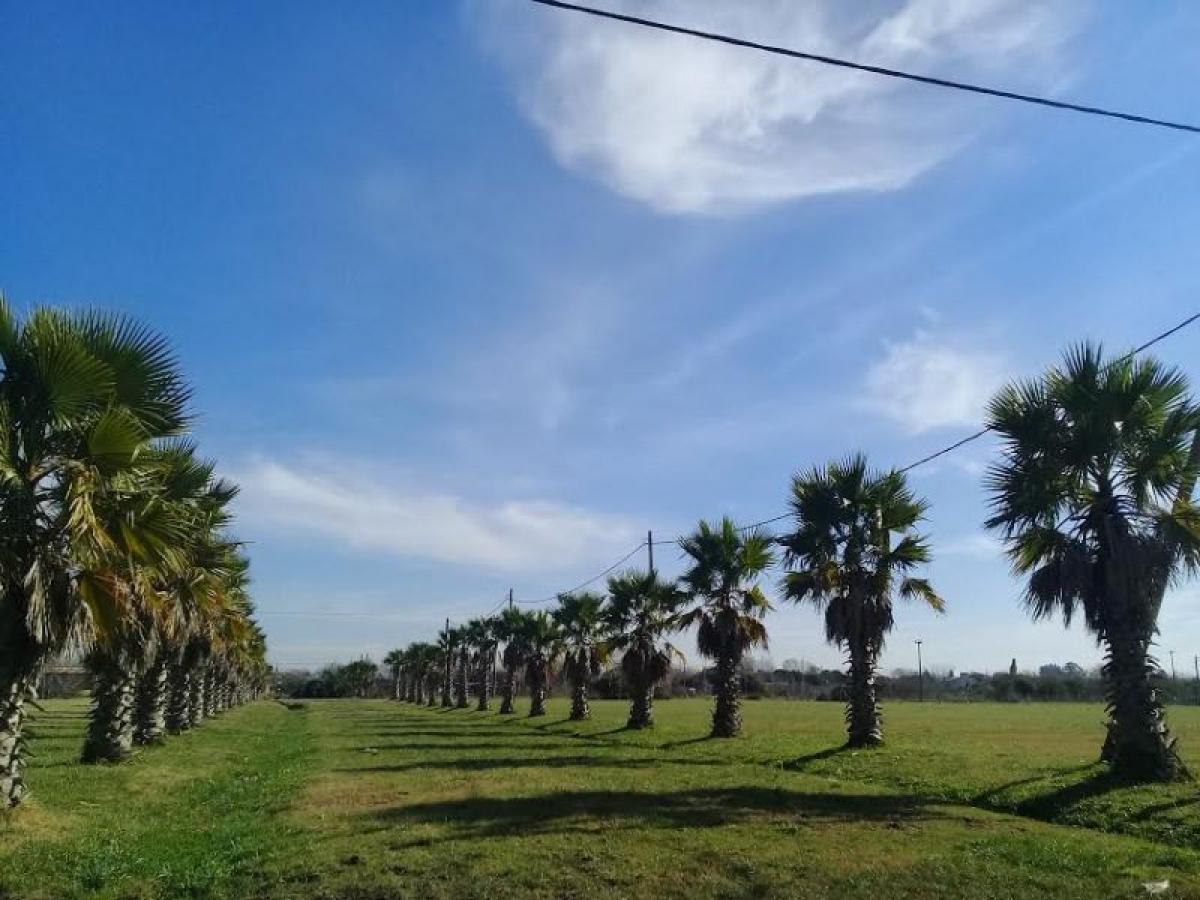 Grundstück in Buenos Aires, Argentina, Nr. 115975