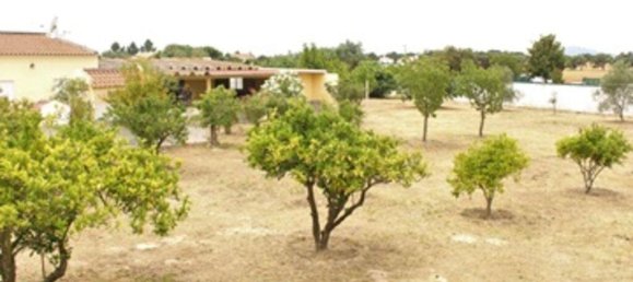 Grundstück in Setubal, Portugal 160000m², Nr. 119306 11