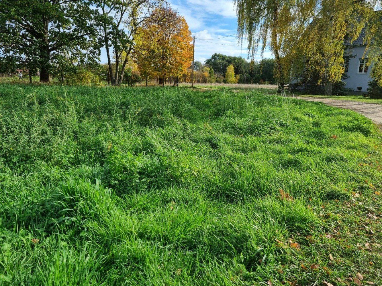  قطعة أرض في Potsdam-Mittelmark, Germany رقم 330123