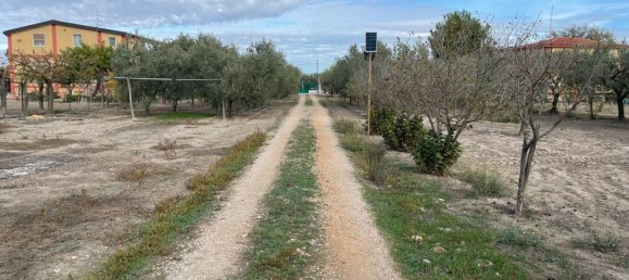 3 rooms House in Foggia, Italy No. 226865 25