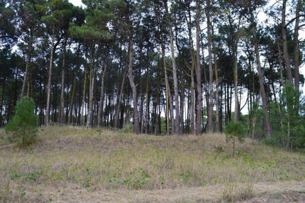  Land in Mar del Plata, Argentina No. 122202